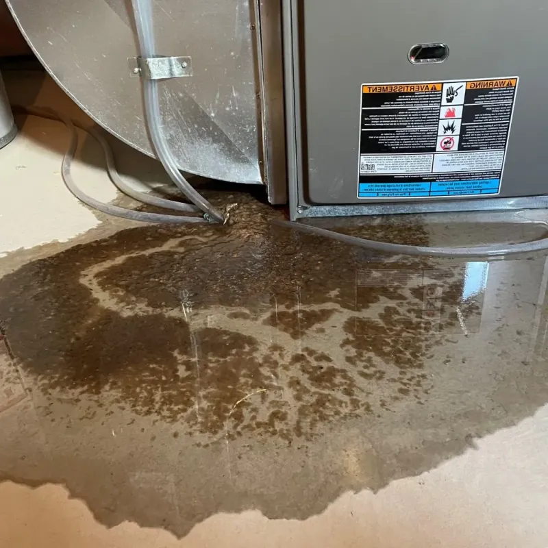Pipe Burst and Leak Restoration in Hurley, NY